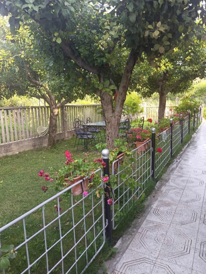 Hotel Kristina Mitllari 1 Pogradec Exterior foto